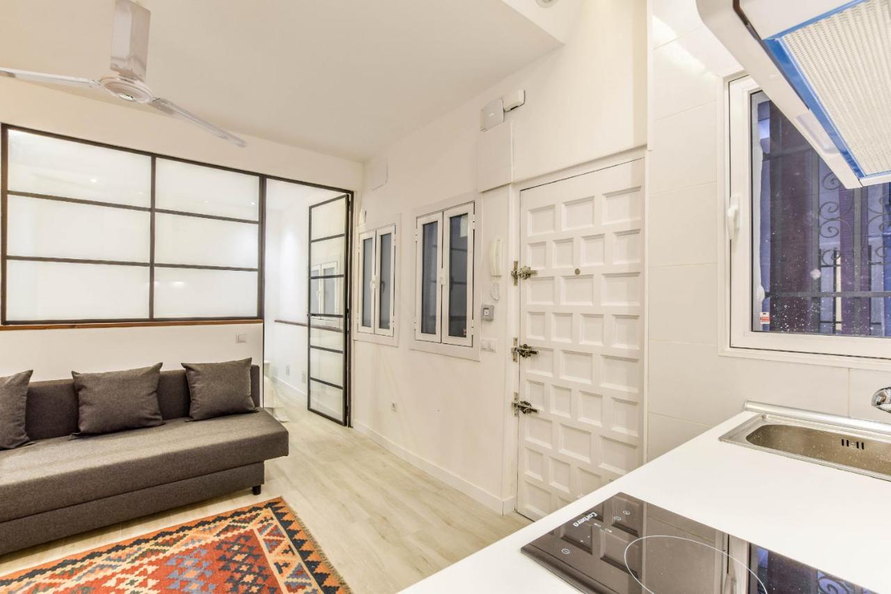 Apartmán Apartamento Reformado En Lavapies Madrid Exteriér fotografie